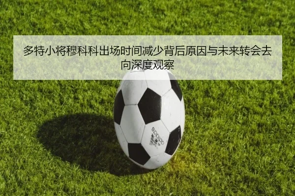 img_1780934384310_2877_1_235.jpg