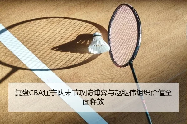 复盘CBA辽宁队末节攻防博弈与赵继伟组织价值全面释放 | okooo